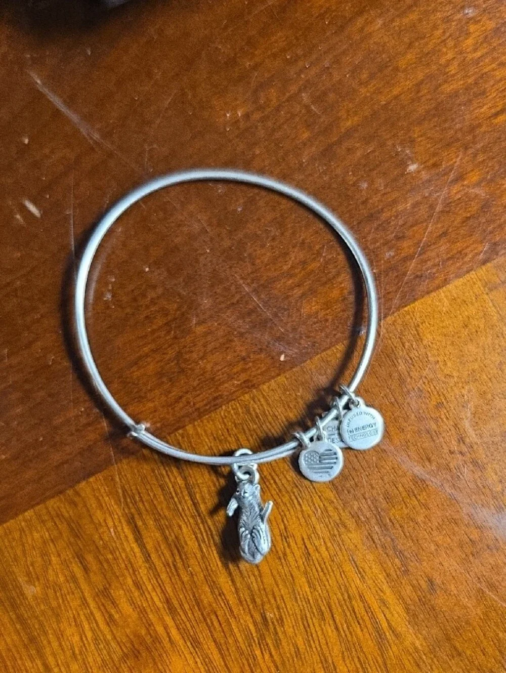 Alex and Ani Silver Otter Charm Adjustable Bangle